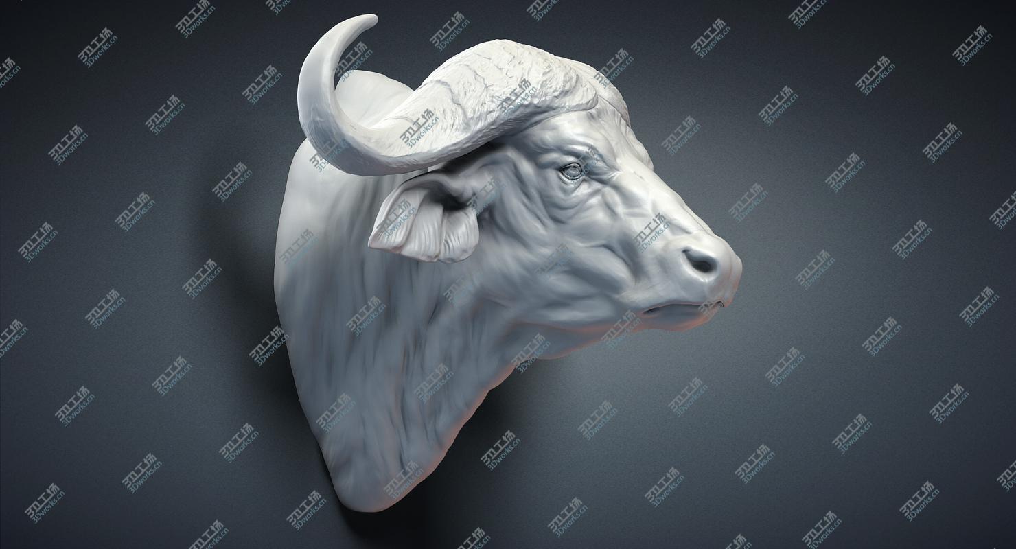 images/goods_img/202104094/Cape Buffalo Head Sculpture 3D model/4.jpg